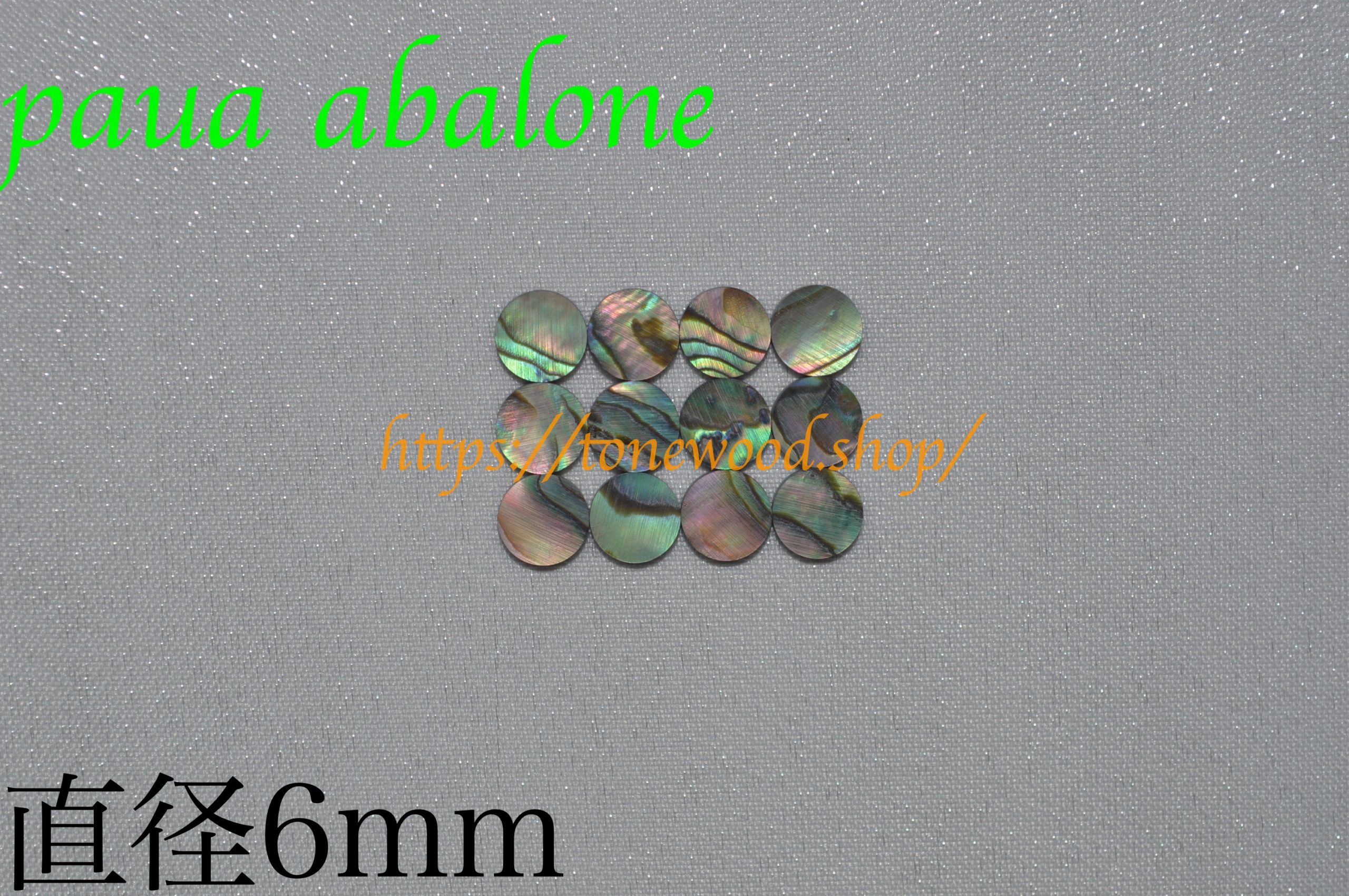 paua abalone dot 6mm