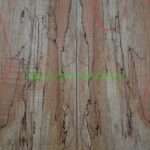 spalted-body-top-E12-4A