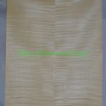 curly-body-veneer-5F