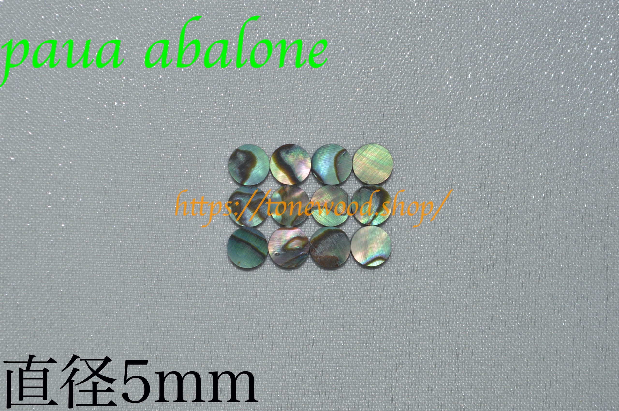 paua abalone dot 5mm