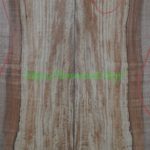 spalted-body-top-G2-3A