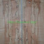 spalted-body-top-H15-3A