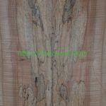 spalted-body-top-H16-3A