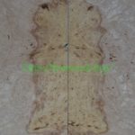 spalted-maple-burl-body-top-M16-5A