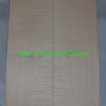 curly-body-top-No.143-3A