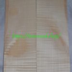 curly maple-body-top-No.363