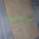 curly maple-body-top-No.364
