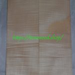 curly maple-body-top-No.364