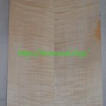 curly maple-body-top-No.367
