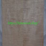curly maple-body-top-No.369