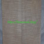 curly maple-body-top-No.370