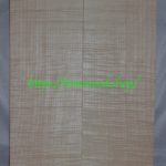 curly maple-body-top-No.373