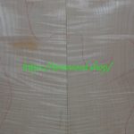 curly maple-body-top-No.374
