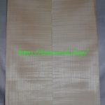 curly maple-body-top-No.358