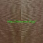 Torrefied curly maple-body-top-No.415