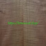 Torrefied curly maple-body-top-No.416