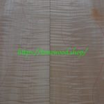 curly maple-body-top-No.418