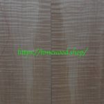 curly maple-body-top-No.419