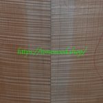 curly maple-body-top-No.420