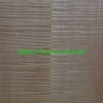 curly maple-body-top-No.422