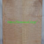 curly maple-body-top-No.425