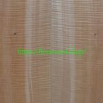 curly maple-body-top-No.427