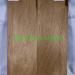 top-torrefied-alder-574
