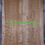 top-quilted-maple-586