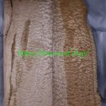 top-quilted-maple-592