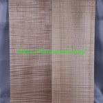 top-curly-maple-613