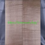 top-curly-maple-615